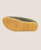 edebarefoot Evergreen